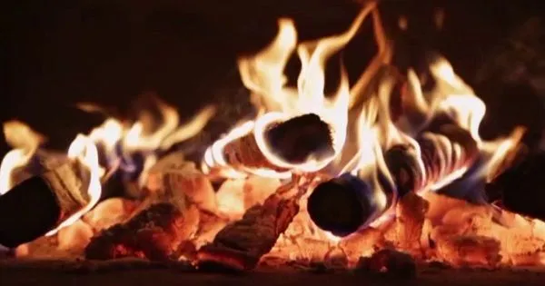 Ochráňte svoju domácnosť pred požiarom: Viete, ako dosiahnete, aby drevo menej horelo?
