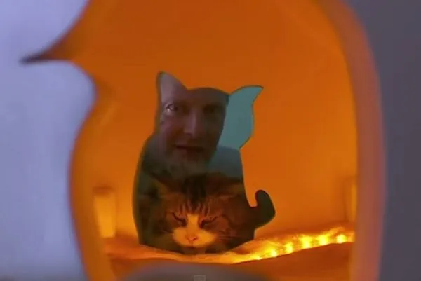 Chlapík premenil svoj dom na bludisko pre mačky
