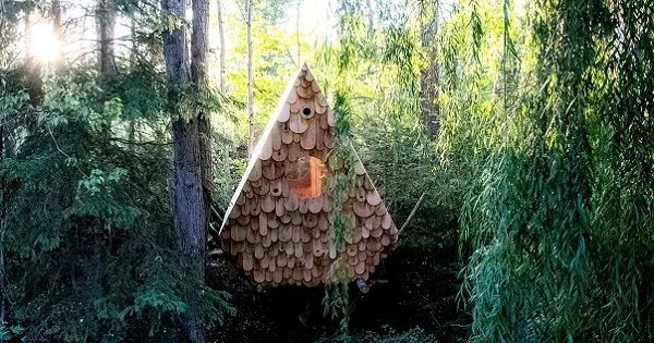 Obrovská vtáčia búdka ponúka útočisko nielen pre operencov, ale aj pre ľudí