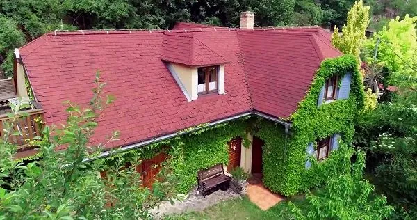 Matonoha z Prázdnin má úplne nový imidž: Aha, aký je z neho fešák s krátkymi vlasmi!