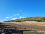 Väčší pozemok v prírodnom prostredí na okraji obce Zbora - Dohňany
