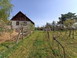 Udržiavaná vinica s vínnym domčekom, blízko Levíc