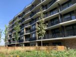 BOSEN | Slnečný 1.izb.byt s balkónom v novom projekte Slnečnice UNIQ, Fialová, 31 m2
