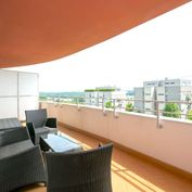 Veľký byt s možnosťou prerobenia na 3-izbový. Bratislava IV