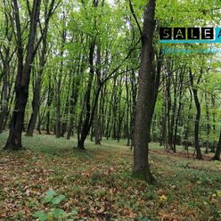 Lesný pozemok v obci Podolie o výmere 5.010 m2
