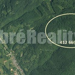 PRIPRAVUJEME DO PONUKY: Výnimočný pozemok v lese s bývalou usadlosťou, 412 669 m2, Filier - Ratkovsk