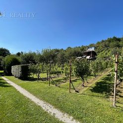 Záhradná chatka s pozemkom 1193 m2, udržiavaná vinica, okr. Nové Mesto nad Váhom / ZO Pod Veselou ho