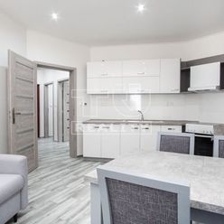 Veľký 1-izbový byt v nízkoenergetickej novostavbe v Nesvadoch, 50,95m2