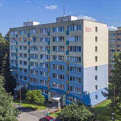 Prodej bytu 2+kk, 46 m², Kolín, ul. Tisovecká