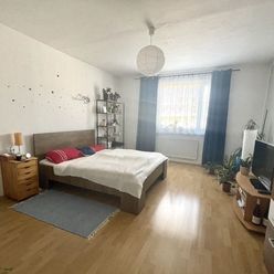 Veľký 1-izbový byt s loggiou a pivnicou v Karlovej Vsi