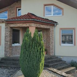 Veľký priestranný rodinný dom pre oddych a relax, cena dohodou,  Zlaté Moravce  - Sľažany