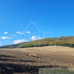 Väčší pozemok v prírodnom prostredí na okraji obce Zbora - Dohňany