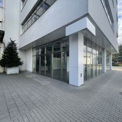Prenájom obchodného priestoru 309m² na ulici Galvaniho v meste Bratislava