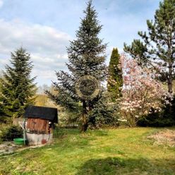 Záhrada, Košické Oľšany – Vyšný Olčvar, 375m2, studňa, elektrika