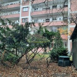 Prenájom 1izbový byt 44 m2 Šancova ulica - Trnavské mýto