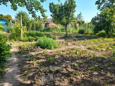 REZERVOVANÉ - MOVEON exkluzívne ponúka na predaj záhradu na Mestskom majeri v Leviciach