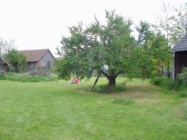 Predaj pozemku s rodinným domom a drevenými stodolami v tichej časti malebnej obce Borský Mikuláš
