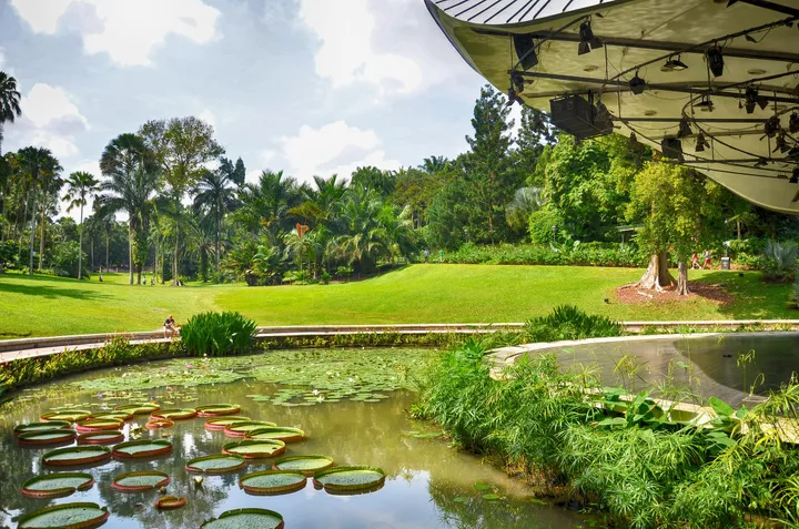 Singapore Botanic Gardens