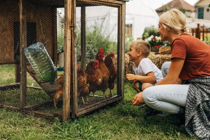 Záhradné a chovateľské stavby na pozemku: Čo by ste mali vedieť?