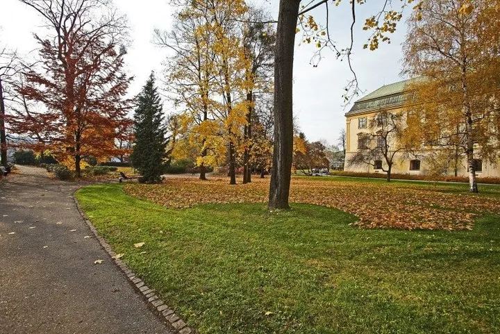 Sad Svobody v Zlíne prejde revitalizáciou