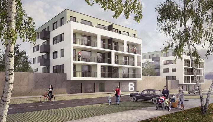 Gemini senec-vizP