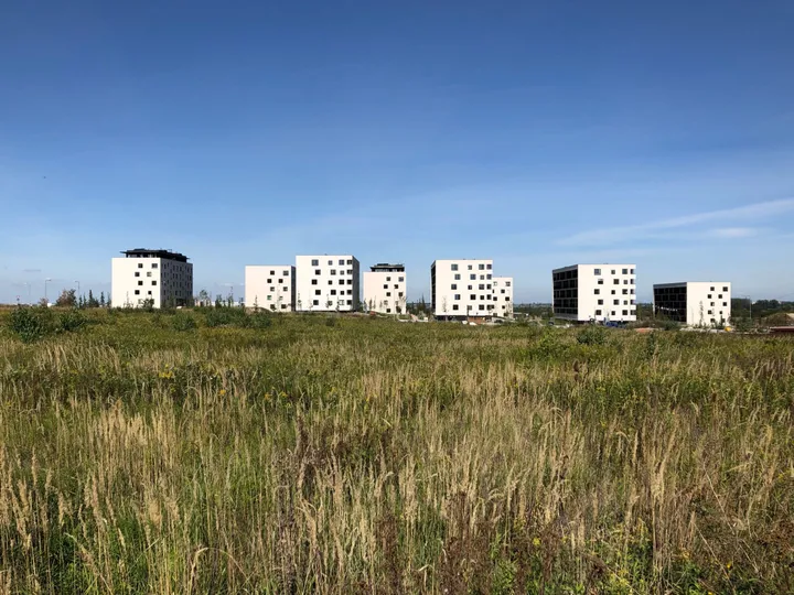 Pbor