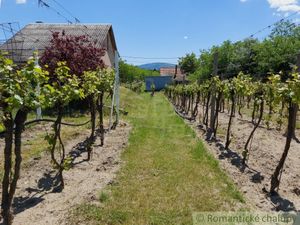 Útulná viničná chatka blízko Dunaja