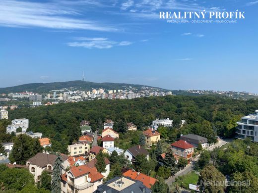 Garsónka v exkluzívnej lokalite s veľkou loggiou a výhľadom na Bratislavský hrad - obrázok