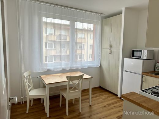 Prenájom 1 izbového bytu Trenčín - Noviny - obrázok