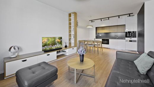 Dizajnový 2 izbový byt v projekte Tillia - obrázok